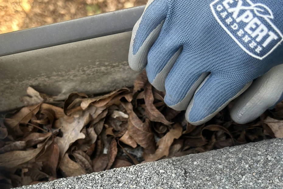 Gutter Cleaning Spicewood TX