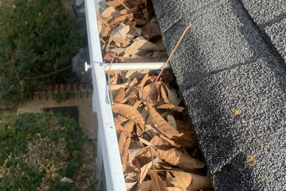 Gutter Cleaning Spicewood TX